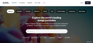 Ejemplo Diseño Web 9 Dribbble